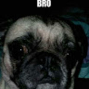 Meet your Posher, Monique